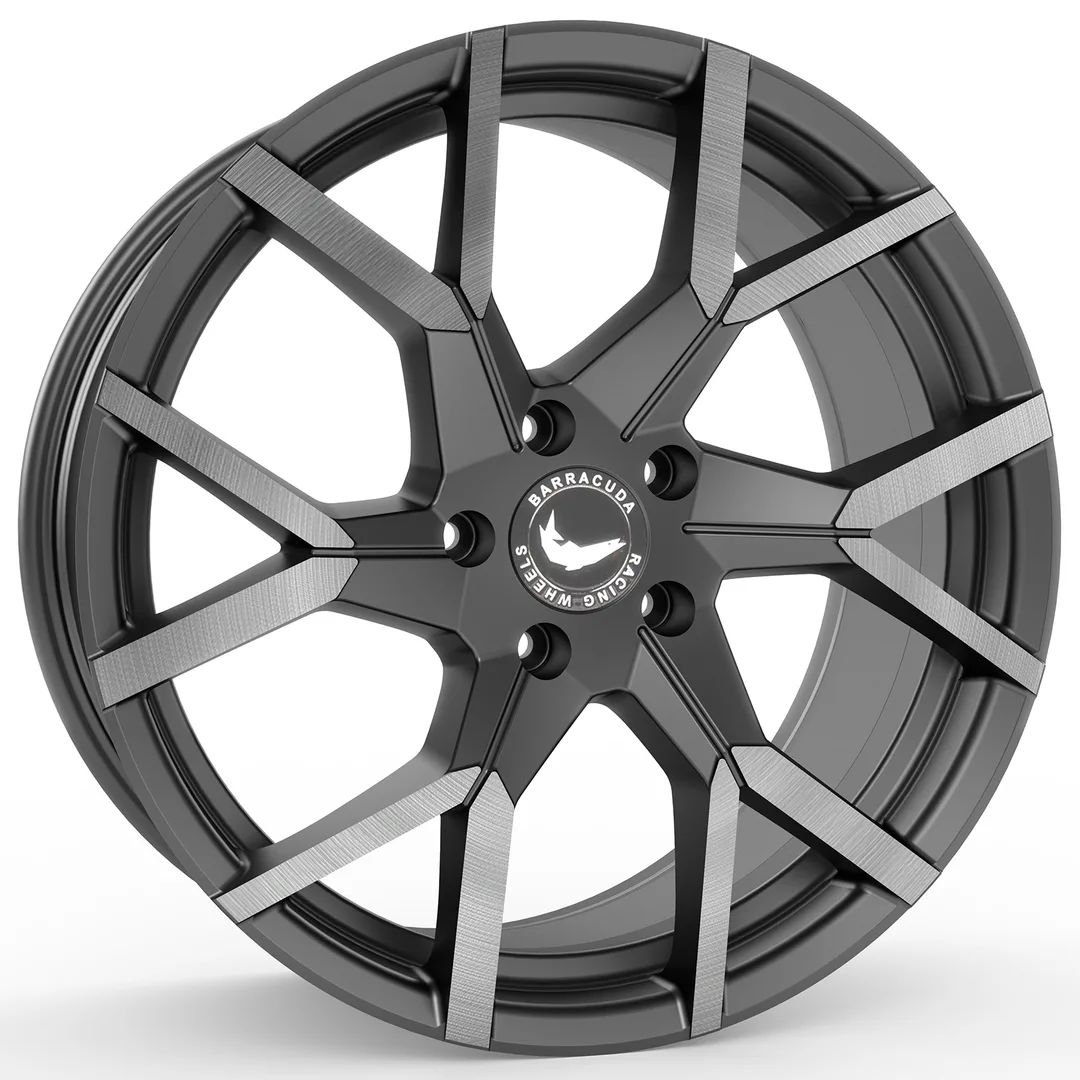 Barracuda Tzunamee Evo