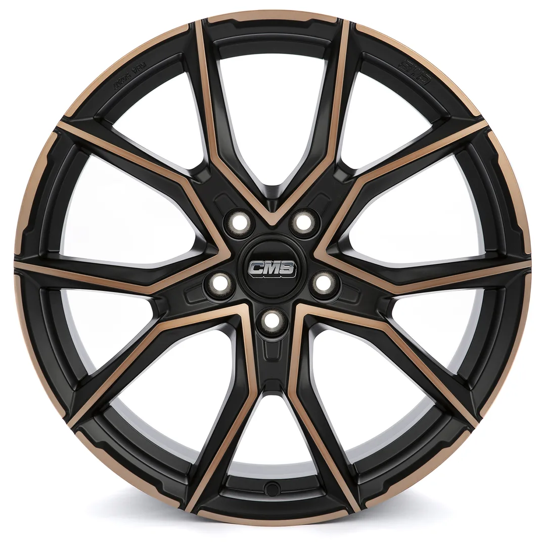 CMS C33