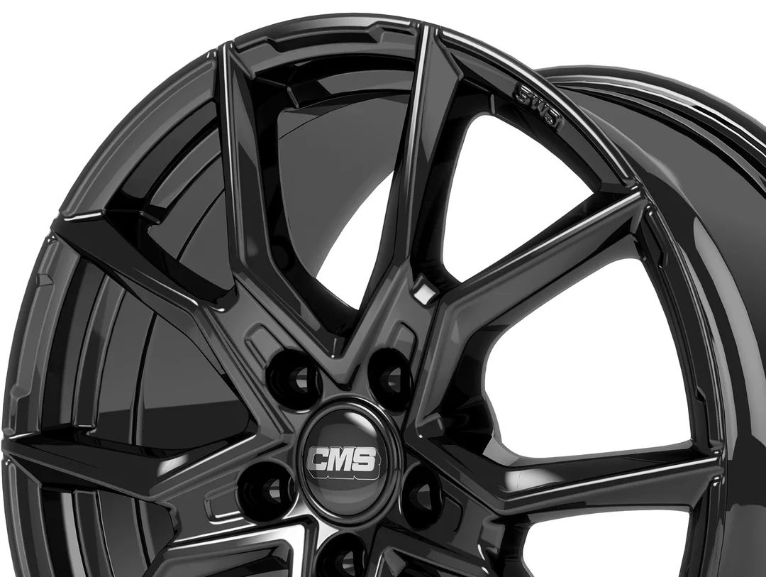 CMS C33