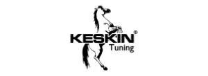 Keskin